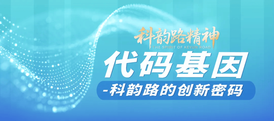 新密码网络科技